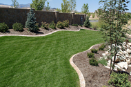AWP Landscaping, Inc. Image 3